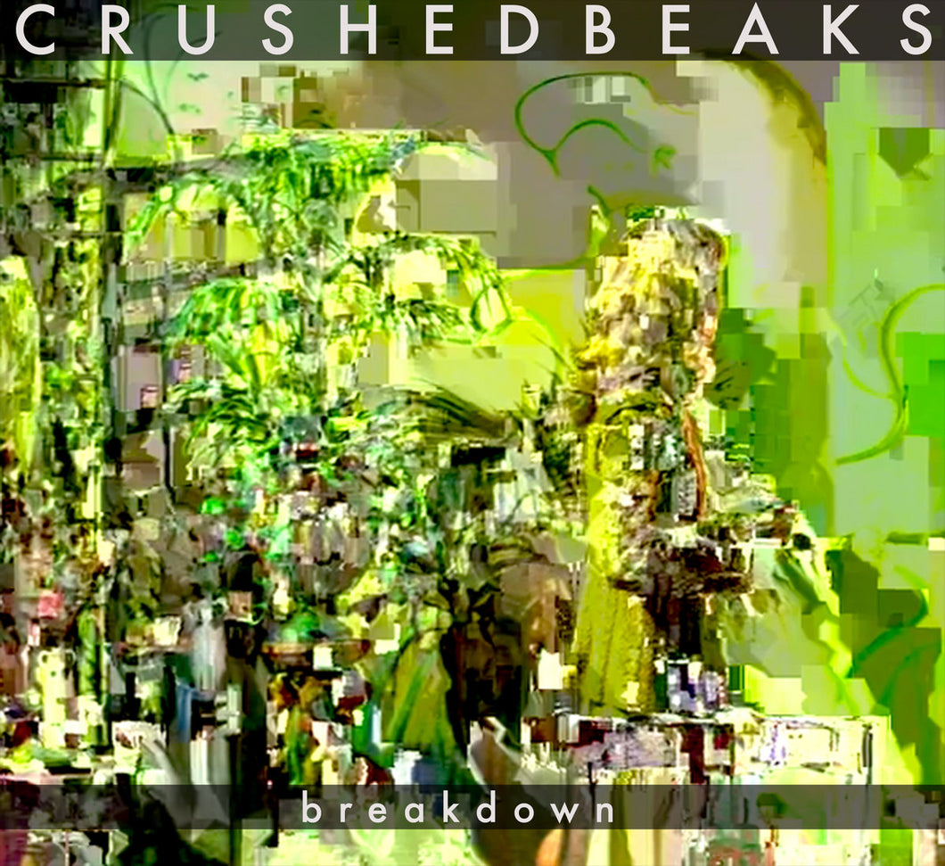 Crushed Beaks - Breakdown - 7''